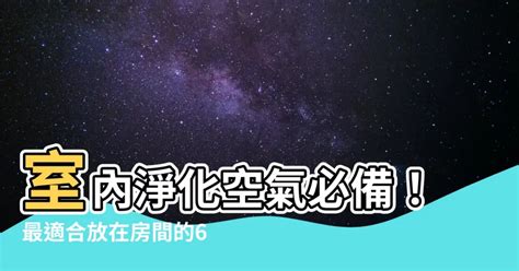 房間可以種植物嗎|室內可以放什麼植物？根據空間選擇推薦品種，照護指。